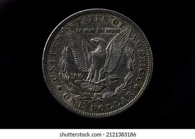 Morgan Dollar Reverse